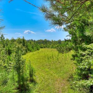 Photo #26 of 170 Landing, Jackson, SC 143.8 acres