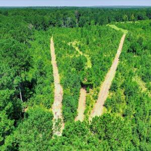 Photo #53 of 170 Landing, Jackson, SC 143.8 acres