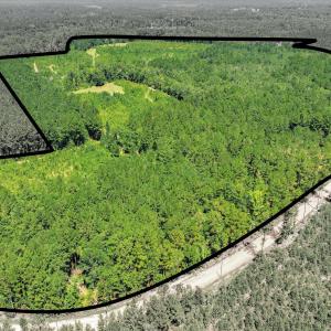 Photo #2 of 170 Landing, Jackson, SC 143.8 acres