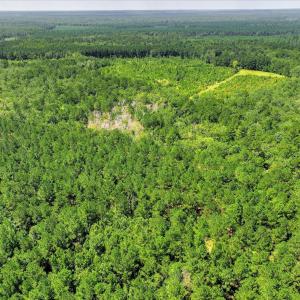 Photo #71 of 170 Landing, Jackson, SC 143.8 acres