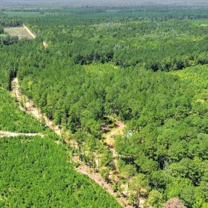 Photo #44 of 170 Landing, Jackson, SC 143.8 acres