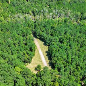 Photo #69 of 170 Landing, Jackson, SC 143.8 acres