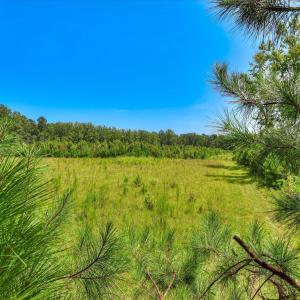 Photo #28 of 170 Landing, Jackson, SC 143.8 acres