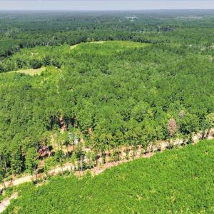 Photo #41 of 170 Landing, Jackson, SC 143.8 acres