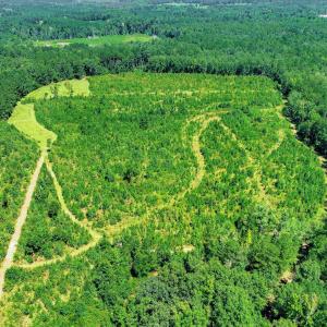 Photo #61 of 170 Landing, Jackson, SC 143.8 acres