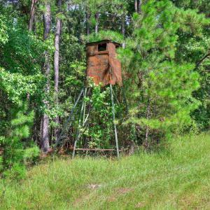 Photo #23 of 170 Landing, Jackson, SC 143.8 acres