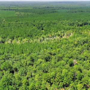 Photo #64 of 170 Landing, Jackson, SC 143.8 acres