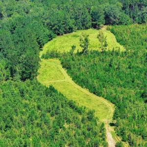Photo #63 of 170 Landing, Jackson, SC 143.8 acres