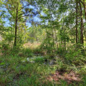 Photo #39 of 170 Landing, Jackson, SC 143.8 acres