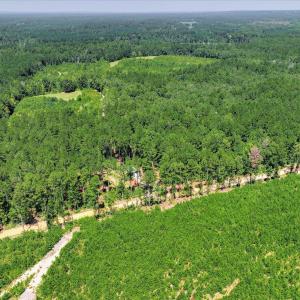 Photo #73 of 170 Landing, Jackson, SC 143.8 acres