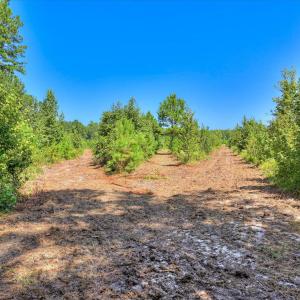 Photo #15 of 170 Landing, Jackson, SC 143.8 acres