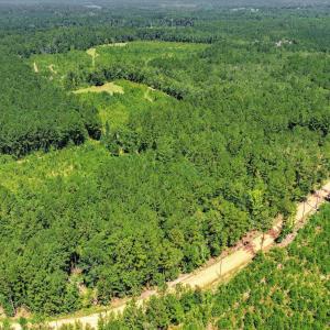 Photo #43 of 170 Landing, Jackson, SC 143.8 acres