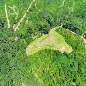 Photo #49 of 170 Landing, Jackson, SC 143.8 acres