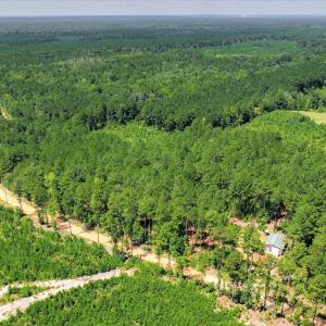 Photo #74 of 170 Landing, Jackson, SC 143.8 acres