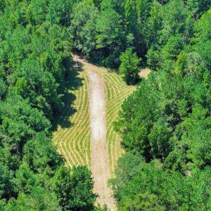 Photo #68 of 170 Landing, Jackson, SC 143.8 acres