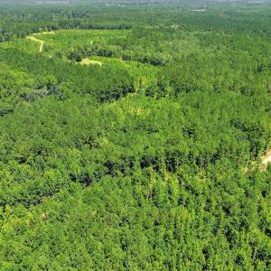 Photo #75 of 170 Landing, Jackson, SC 143.8 acres