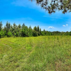 Photo #24 of 170 Landing, Jackson, SC 143.8 acres