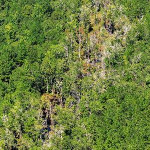 Photo #66 of 170 Landing, Jackson, SC 143.8 acres