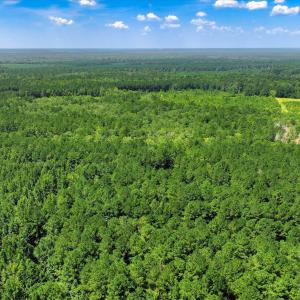Photo #70 of 170 Landing, Jackson, SC 143.8 acres