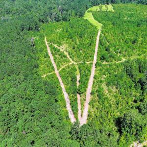 Photo #52 of 170 Landing, Jackson, SC 143.8 acres