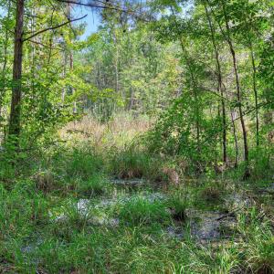 Photo #40 of 170 Landing, Jackson, SC 143.8 acres