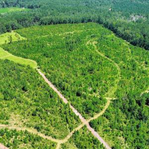 Photo #60 of 170 Landing, Jackson, SC 143.8 acres
