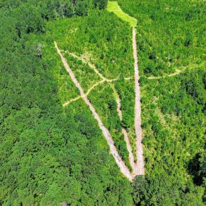 Photo #55 of 170 Landing, Jackson, SC 143.8 acres