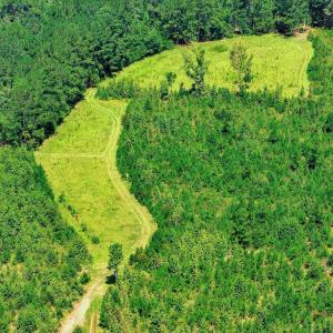 Photo #62 of 170 Landing, Jackson, SC 143.8 acres