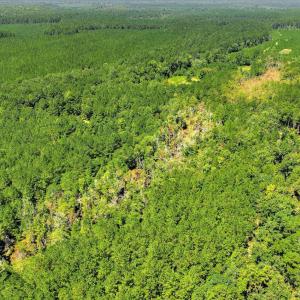 Photo #65 of 170 Landing, Jackson, SC 143.8 acres