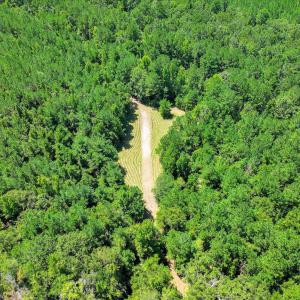 Photo #67 of 170 Landing, Jackson, SC 143.8 acres