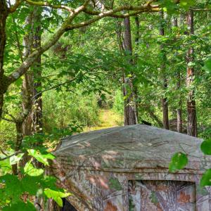 Photo #22 of 170 Landing, Jackson, SC 143.8 acres