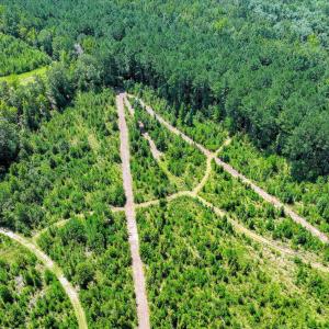 Photo #56 of 170 Landing, Jackson, SC 143.8 acres
