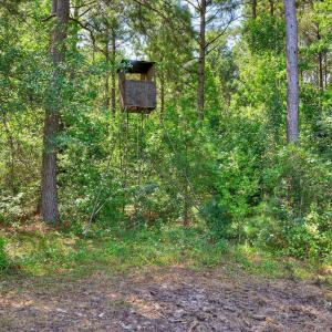Photo #14 of 170 Landing, Jackson, SC 143.8 acres