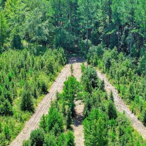 Photo #58 of 170 Landing, Jackson, SC 143.8 acres