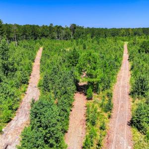 Photo #54 of 170 Landing, Jackson, SC 143.8 acres