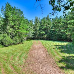 Photo #36 of 170 Landing, Jackson, SC 143.8 acres