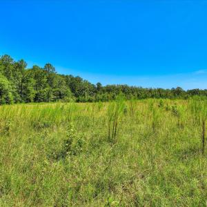 Photo #25 of 170 Landing, Jackson, SC 143.8 acres