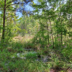 Photo #38 of 170 Landing, Jackson, SC 143.8 acres