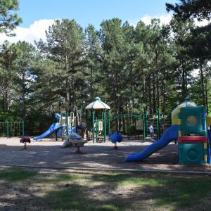 Photo #23 of 143 Swaringen, Seven Lakes, NC 0.6 acres