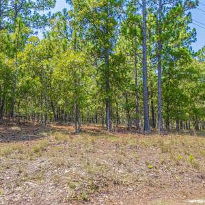 Photo #7 of 143 Swaringen, Seven Lakes, NC 0.6 acres