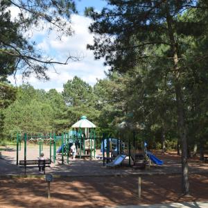 Photo #22 of 143 Swaringen, Seven Lakes, NC 0.6 acres