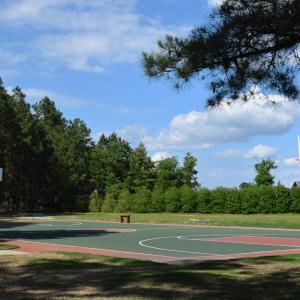 Photo #25 of 143 Swaringen, Seven Lakes, NC 0.6 acres