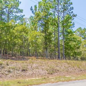 Photo #13 of 143 Swaringen, Seven Lakes, NC 0.6 acres