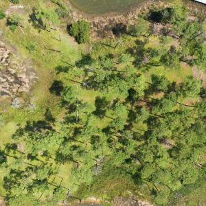 Photo #3 of 232 Oyster Point, Oriental, NC 3.1 acres