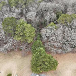 Photo #3 of 102 Colt, Pikeville, NC 13.5 acres
