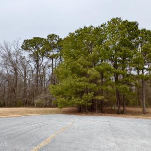 Photo #6 of 102 Colt, Pikeville, NC 13.5 acres