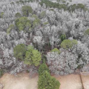 Photo #4 of 102 Colt, Pikeville, NC 13.5 acres