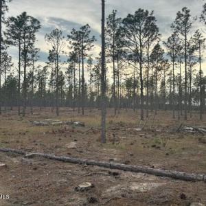 Photo #15 of 1613 Derby Rd, Jackson Springs, NC 343.0 acres