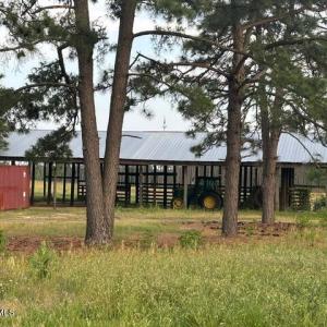 Photo #8 of 1613 Derby Rd, Jackson Springs, NC 343.0 acres