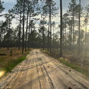 Photo #3 of 1613 Derby Rd, Jackson Springs, NC 343.0 acres
